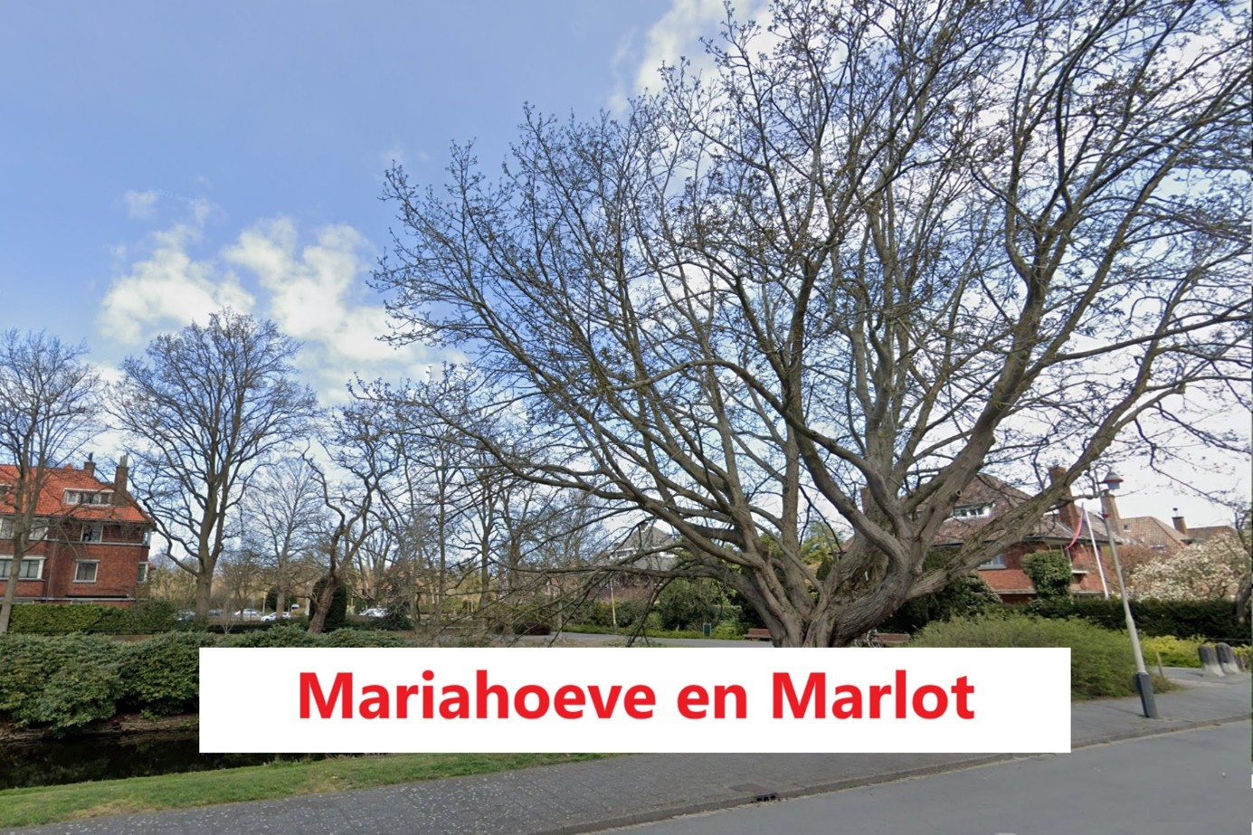 wijken in den haag:Mariahoeve en Marlot